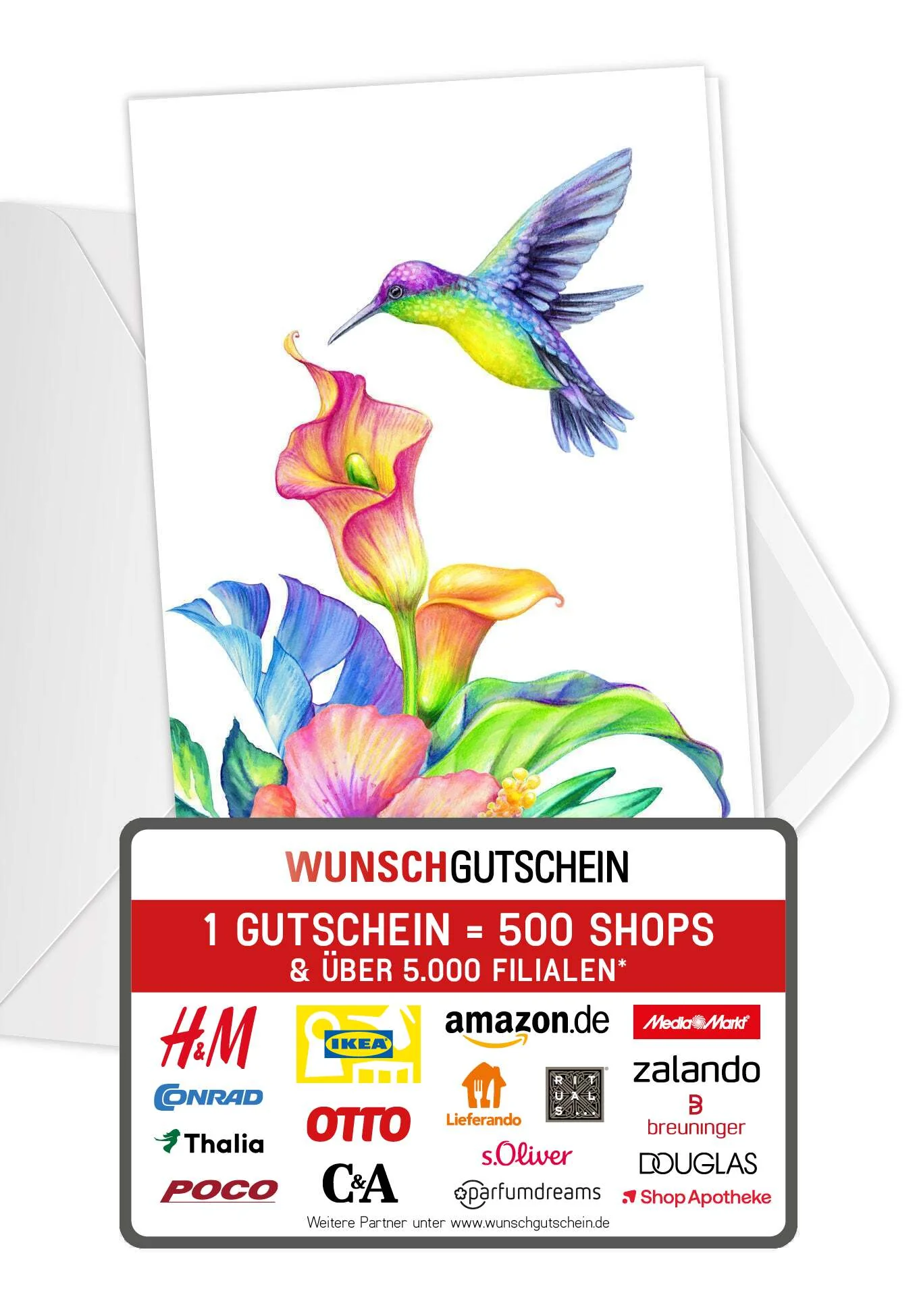 Kolibri Bunt PDF