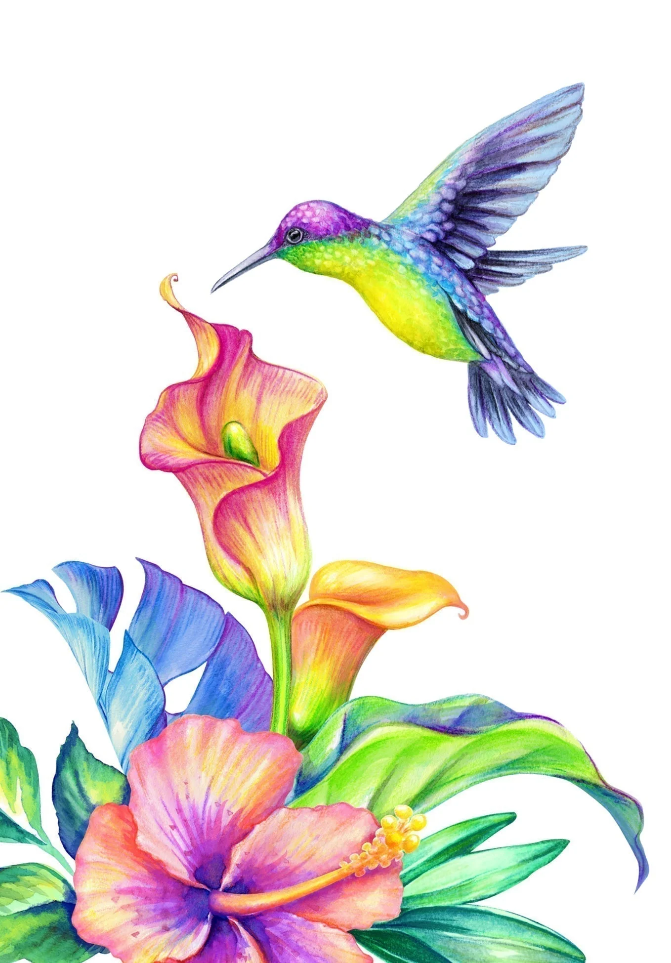 Kolibri Bunt PDF - Image 2