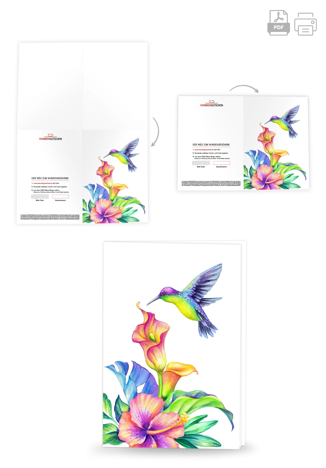 Kolibri Bunt PDF - Image 4
